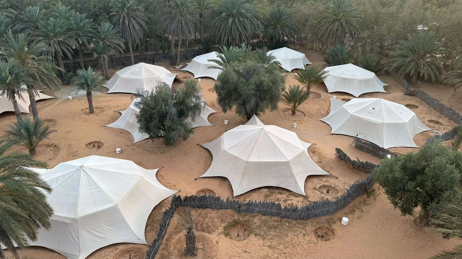 campement de tentes dressé sur le sable au coeur d'une oasis